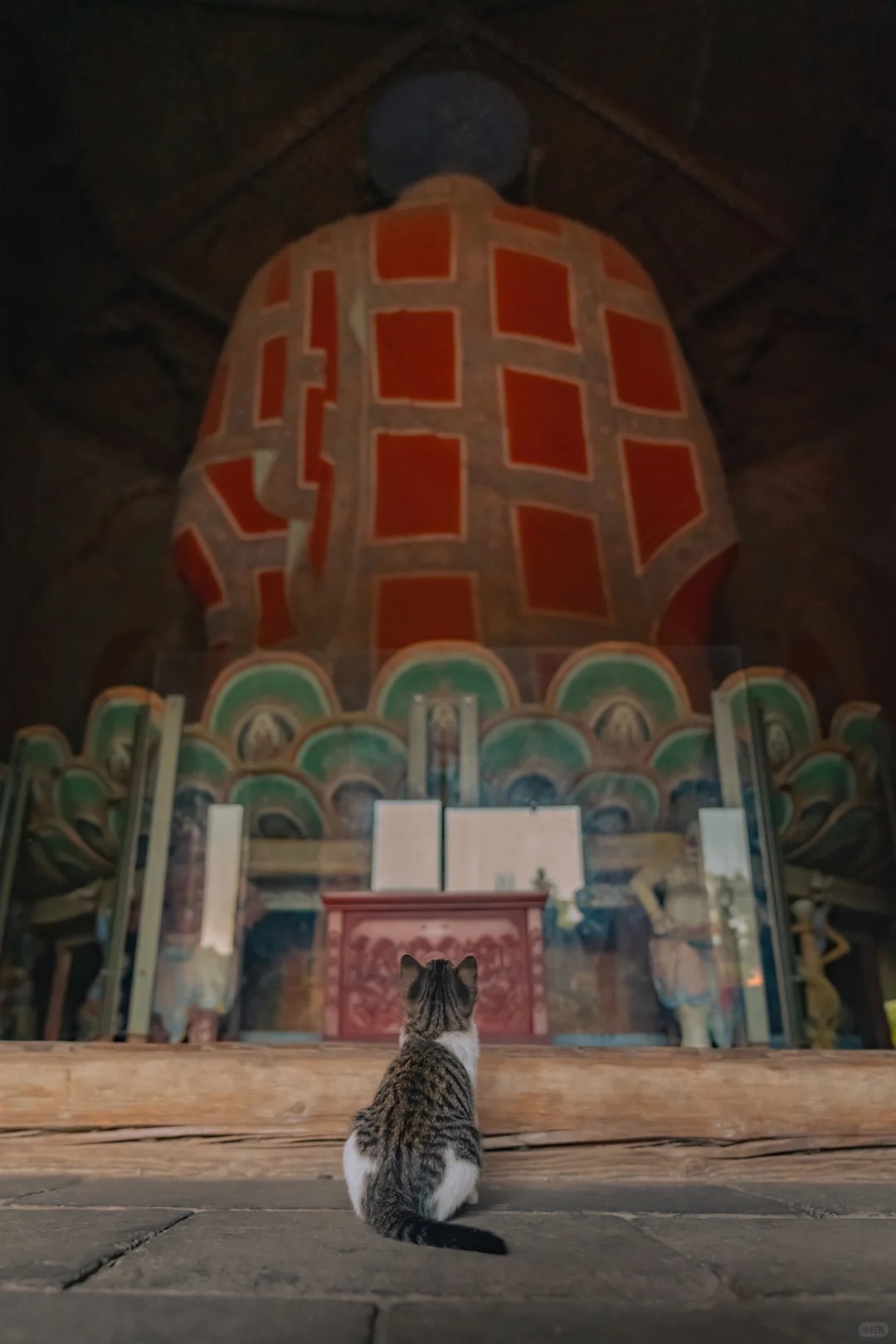 A temple cat